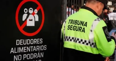 Media sanción en Santa Fe al proyecto de prohibir el ingreso a estadios y casinos a deudores alimentarios